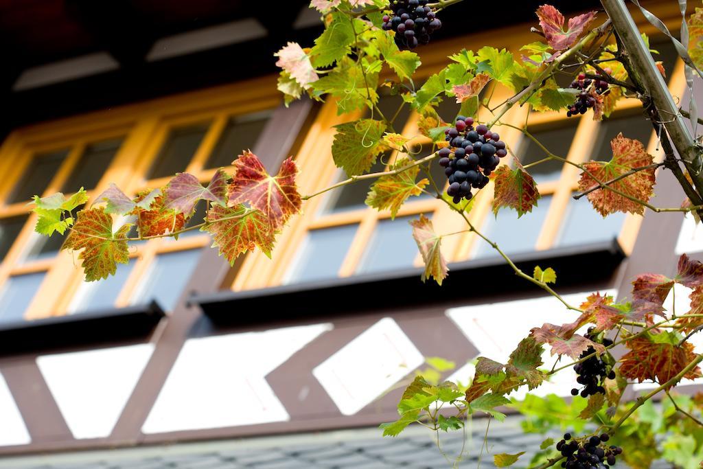 Landgasthof Rebstock Sankt Goar Kültér fotó